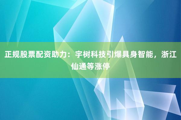 正规股票配资助力：宇树科技引爆具身智能，浙江仙通等涨停