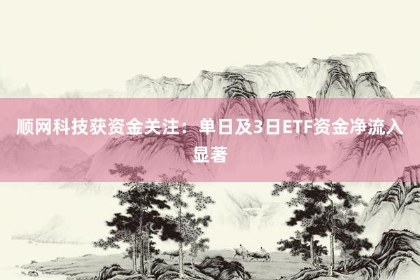顺网科技获资金关注：单日及3日ETF资金净流入显著