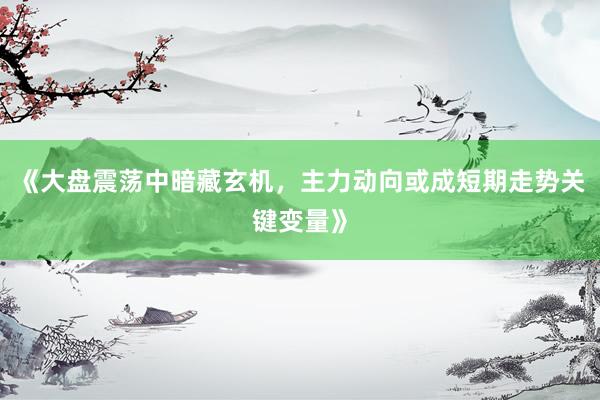 《大盘震荡中暗藏玄机，主力动向或成短期走势关键变量》