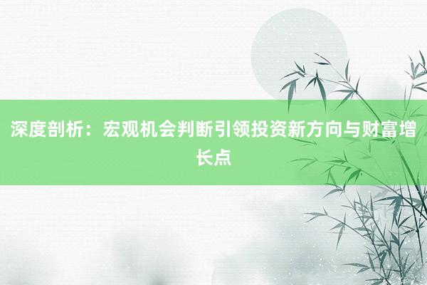 深度剖析：宏观机会判断引领投资新方向与财富增长点