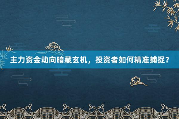 主力资金动向暗藏玄机，投资者如何精准捕捉？