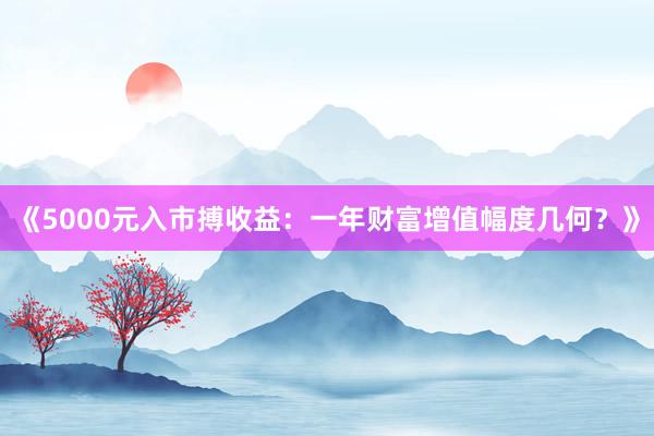 《5000元入市搏收益：一年财富增值幅度几何？》