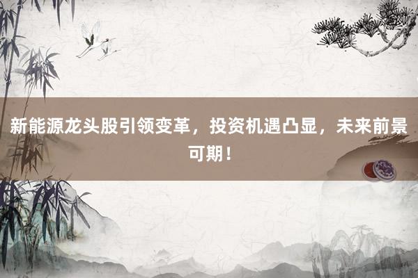 新能源龙头股引领变革，投资机遇凸显，未来前景可期！