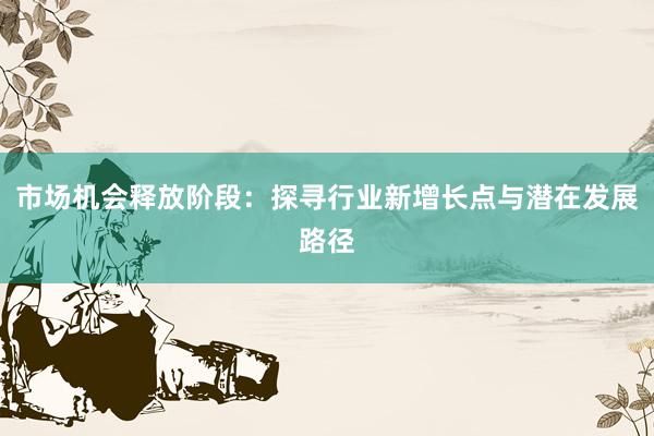市场机会释放阶段：探寻行业新增长点与潜在发展路径