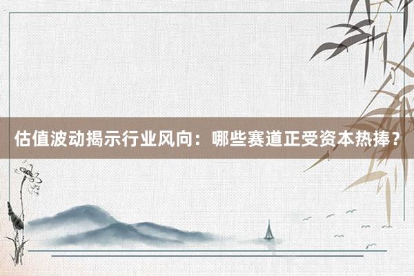 估值波动揭示行业风向：哪些赛道正受资本热捧？