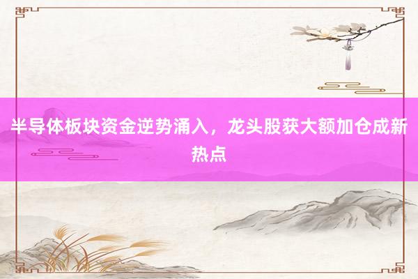 半导体板块资金逆势涌入，龙头股获大额加仓成新热点