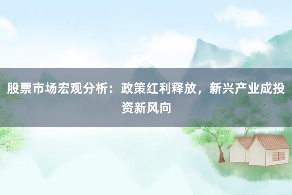 股票市场宏观分析：政策红利释放，新兴产业成投资新风向