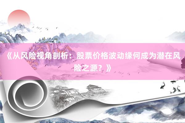 《从风险视角剖析：股票价格波动缘何成为潜在风险之源？》