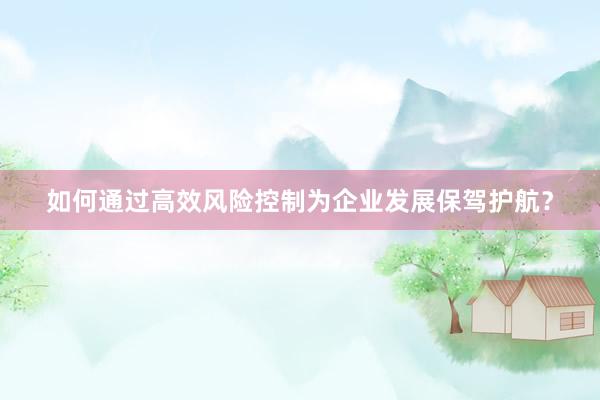 如何通过高效风险控制为企业发展保驾护航？